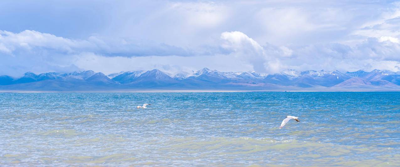 大海 海鸥 5k 风景 高清壁纸