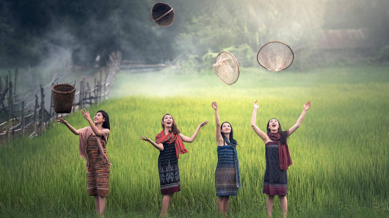 大米 稻田 绿色农村 女人们 自由 欢乐 光 雾 明亮 畅快 庆祝 4K高清风景壁纸
