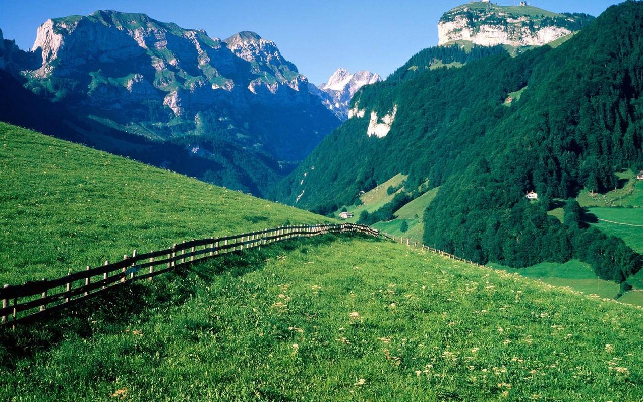 风景春意盎然草地山川高清壁纸