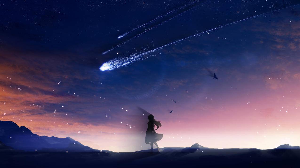 流星 鸟 女 天空 4k高清动漫壁纸
