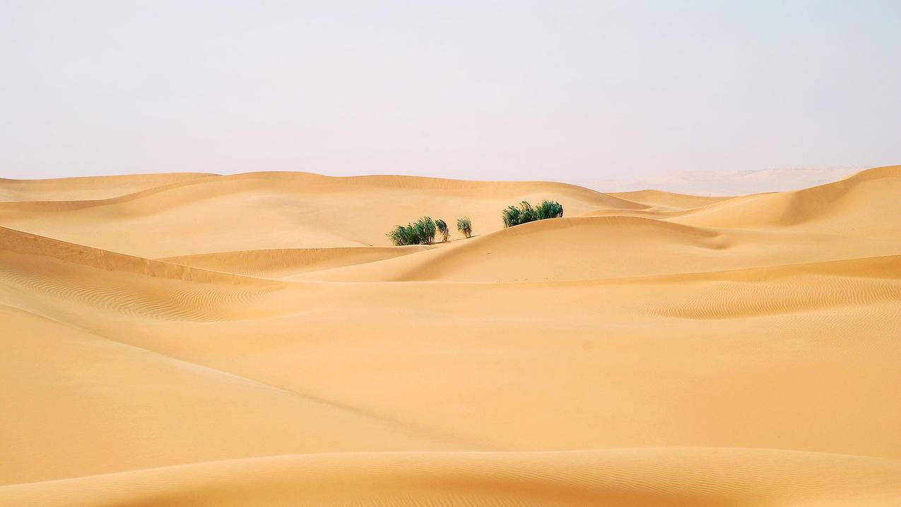 风景自然风光沙漠大漠高清壁纸