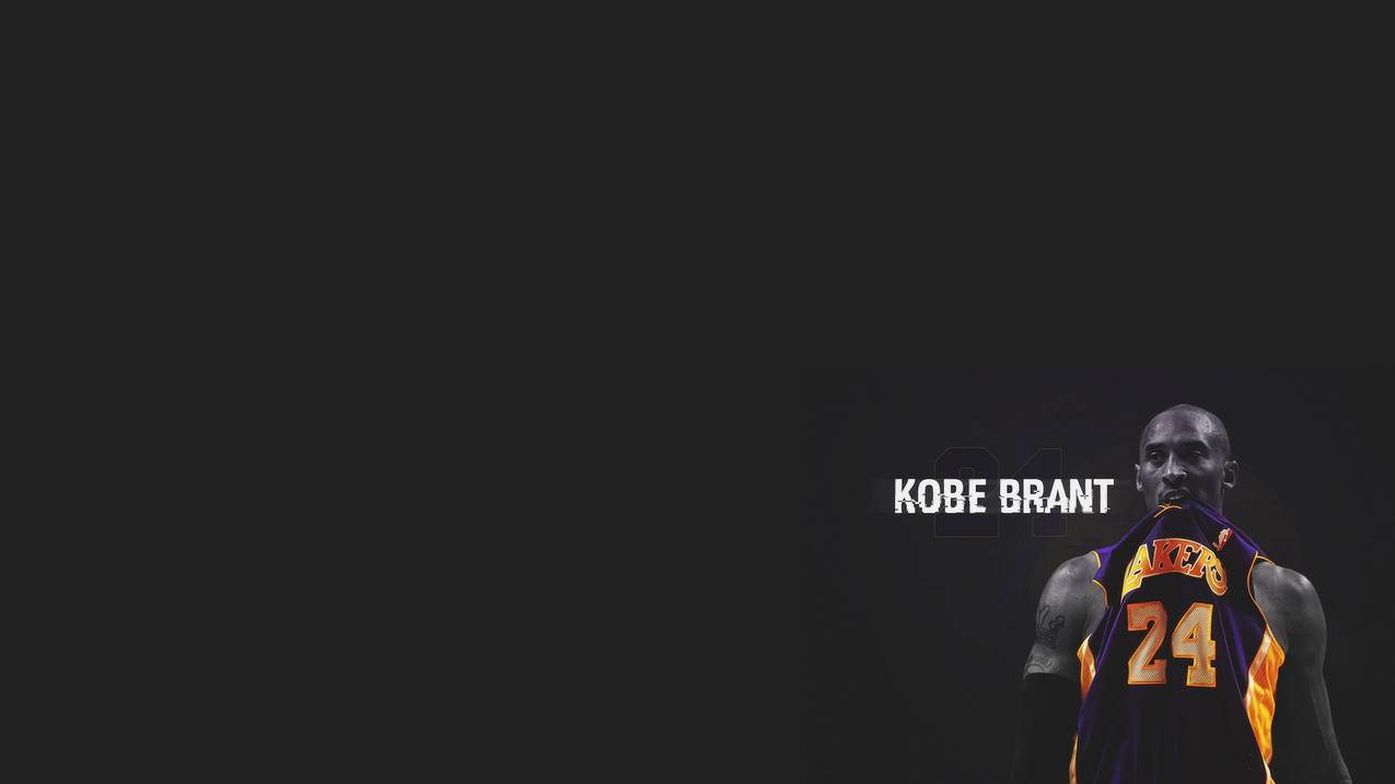 NBA篮球科比湖人kobe布莱恩特高清壁纸
