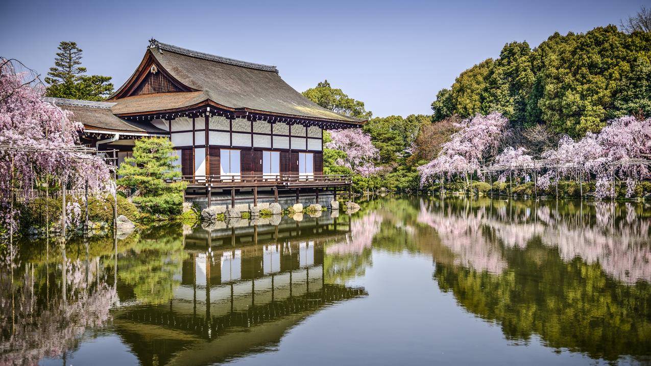平安神宫日本京都花池塘风景4k壁纸