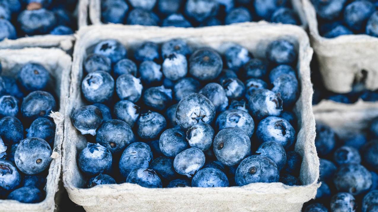 蓝色 蓝莓 美味 甜点 甜 健康 4K水果高清图片