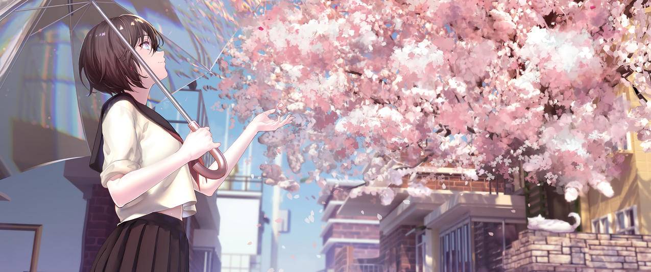 樱花 女生 伞3440x1440带鱼屏动漫壁纸