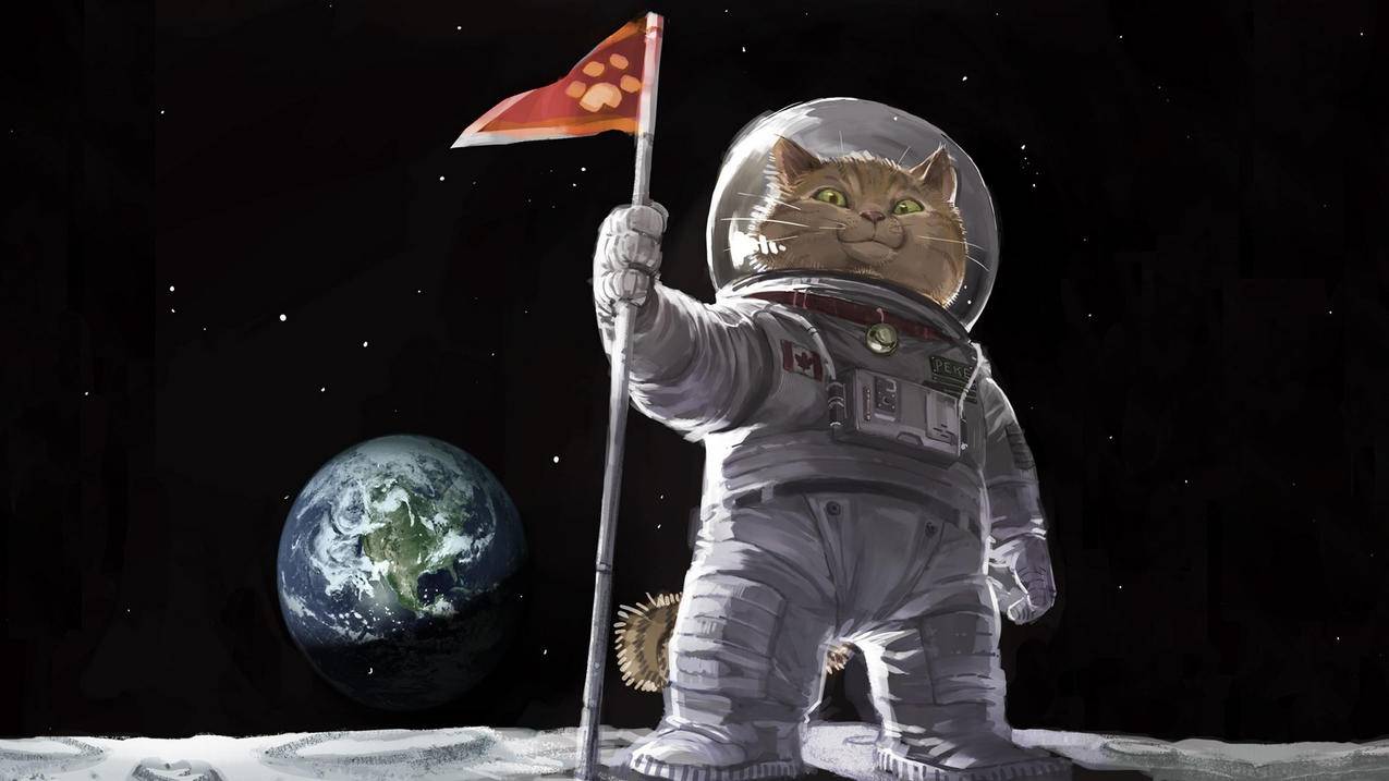 炫酷时尚宇航员酷炫喵星人高清壁纸