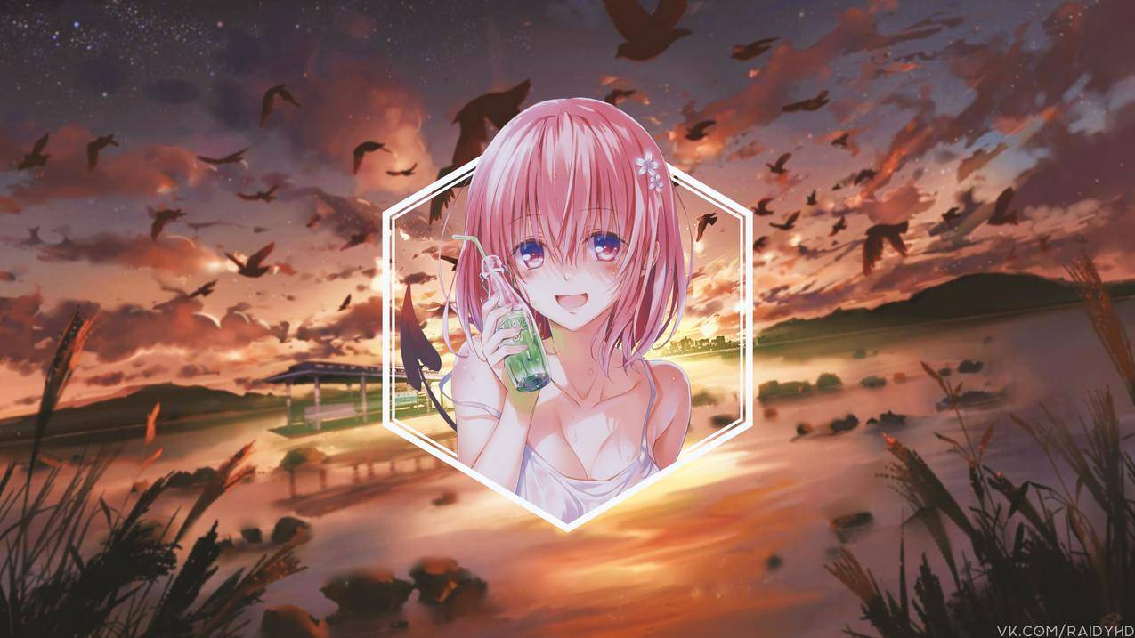 animegirls4k壁纸