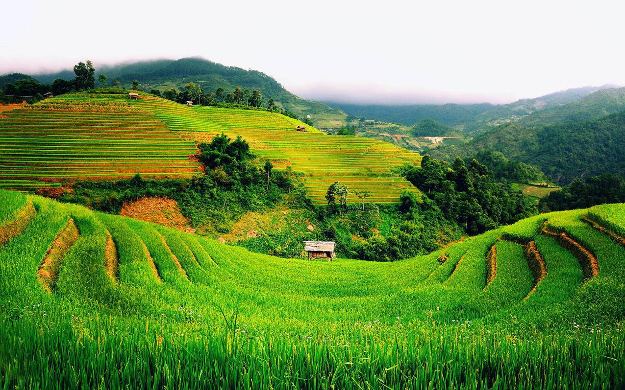 越南田野风景风光美景旅游自然高清壁纸