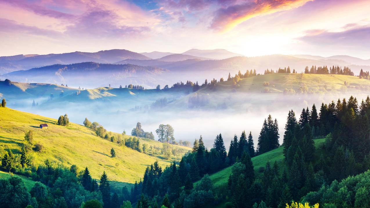 乌克兰山雾小屋丘陵太阳自然森林早上风景4k壁纸