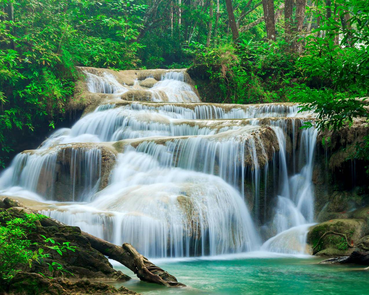 森林 溪流 瀑布 泰国 四面佛瀑布 4K风景高清壁纸