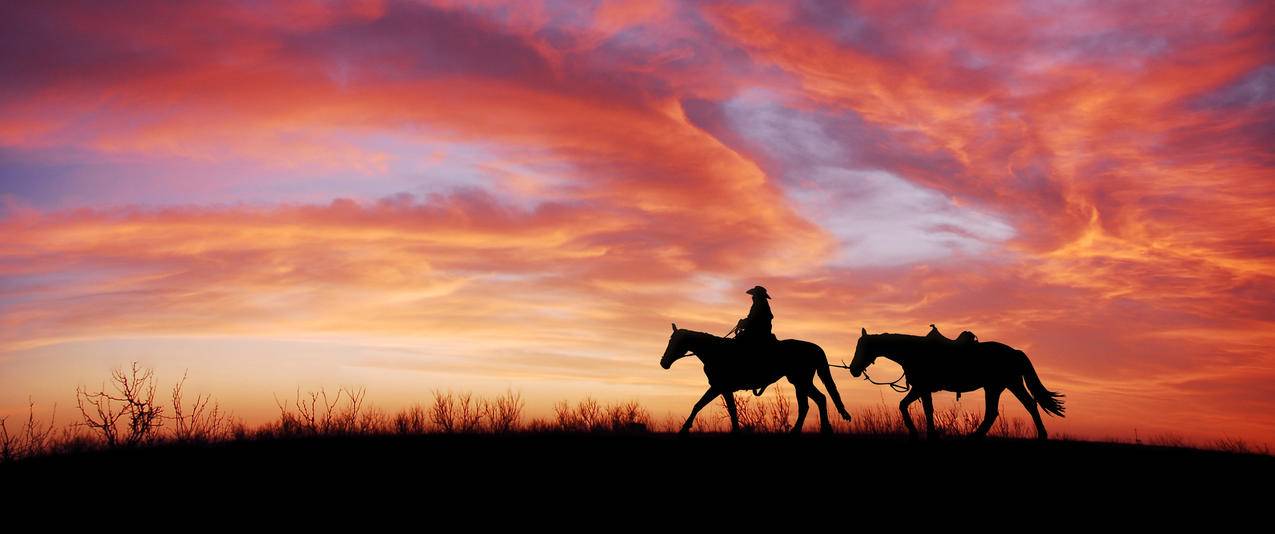 骑马的女孩黄昏夕阳风景带鱼屏壁纸