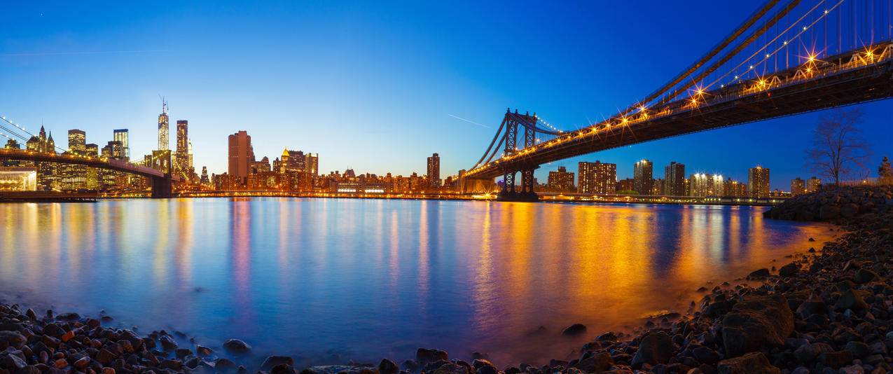 海湾的全景纽约曼哈顿的桥梁风景带鱼屏壁纸