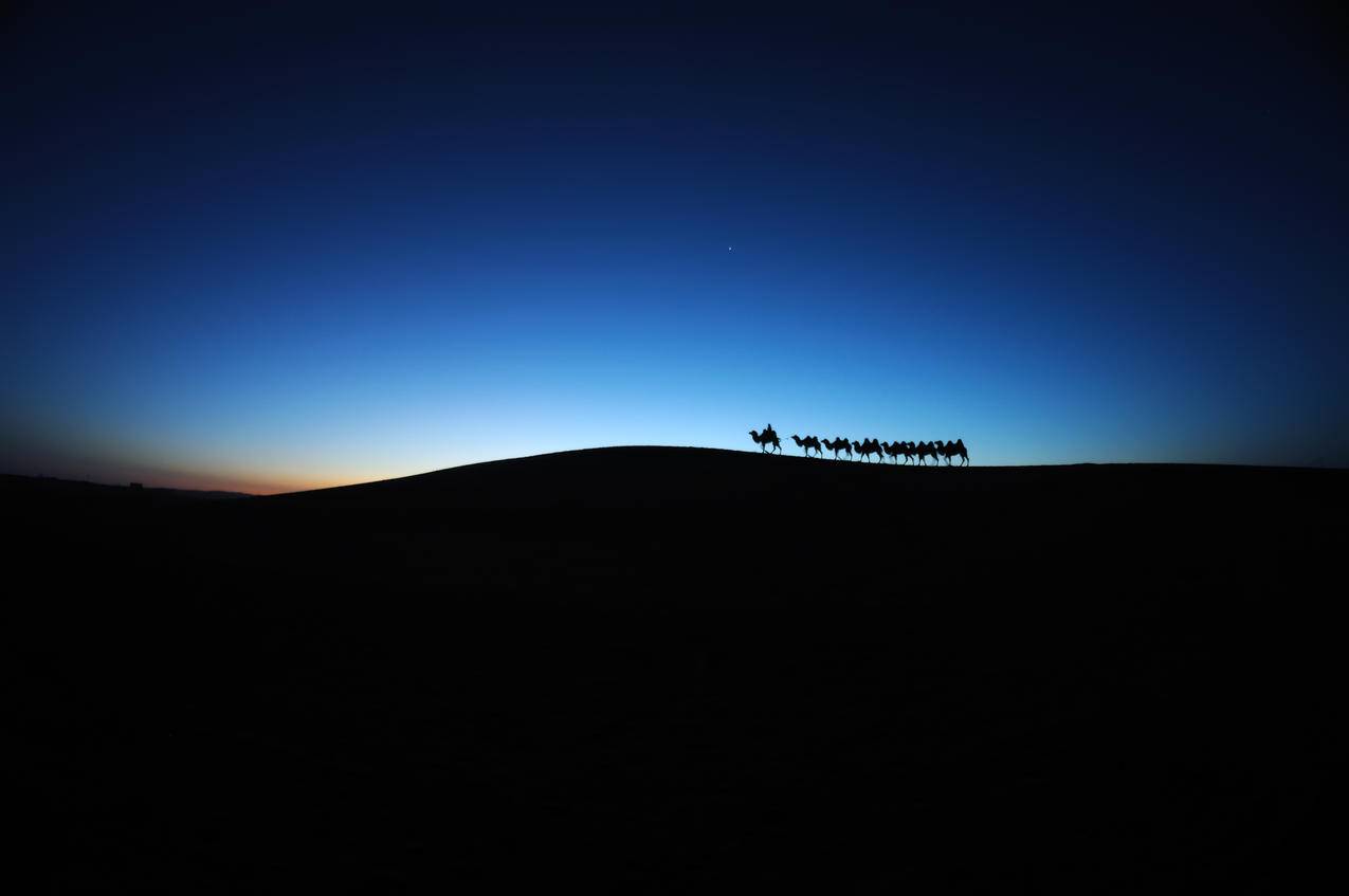 骆驼车队 沙漠黎明 内蒙古额济纳旗 4k风景高清壁纸