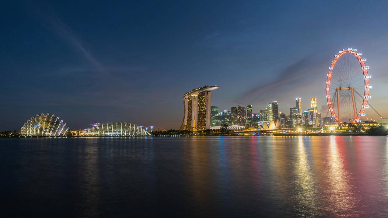 新加坡滨海湾花园夜景4k高清壁纸