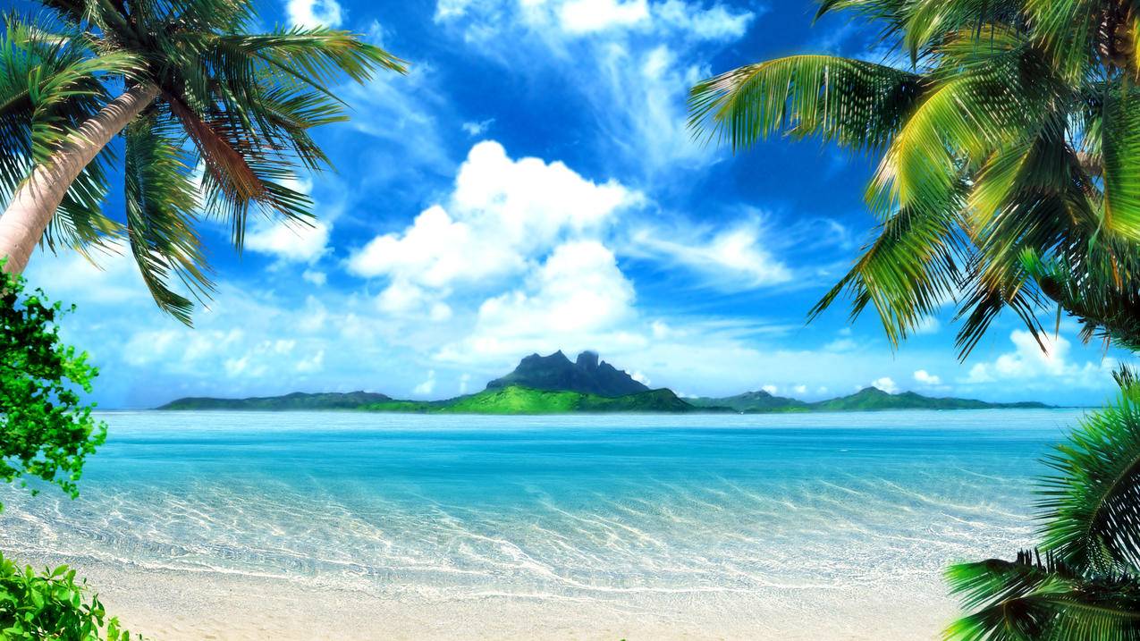海洋小岛椰树天空风景4k壁纸