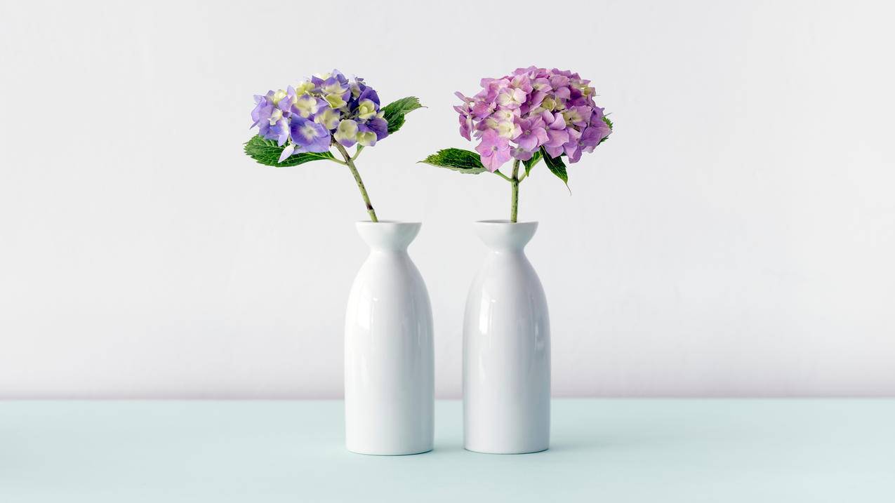 静物花瓶花朵4k壁纸