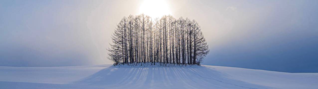 冬天 雪 树 太阳3840x1080风景壁纸