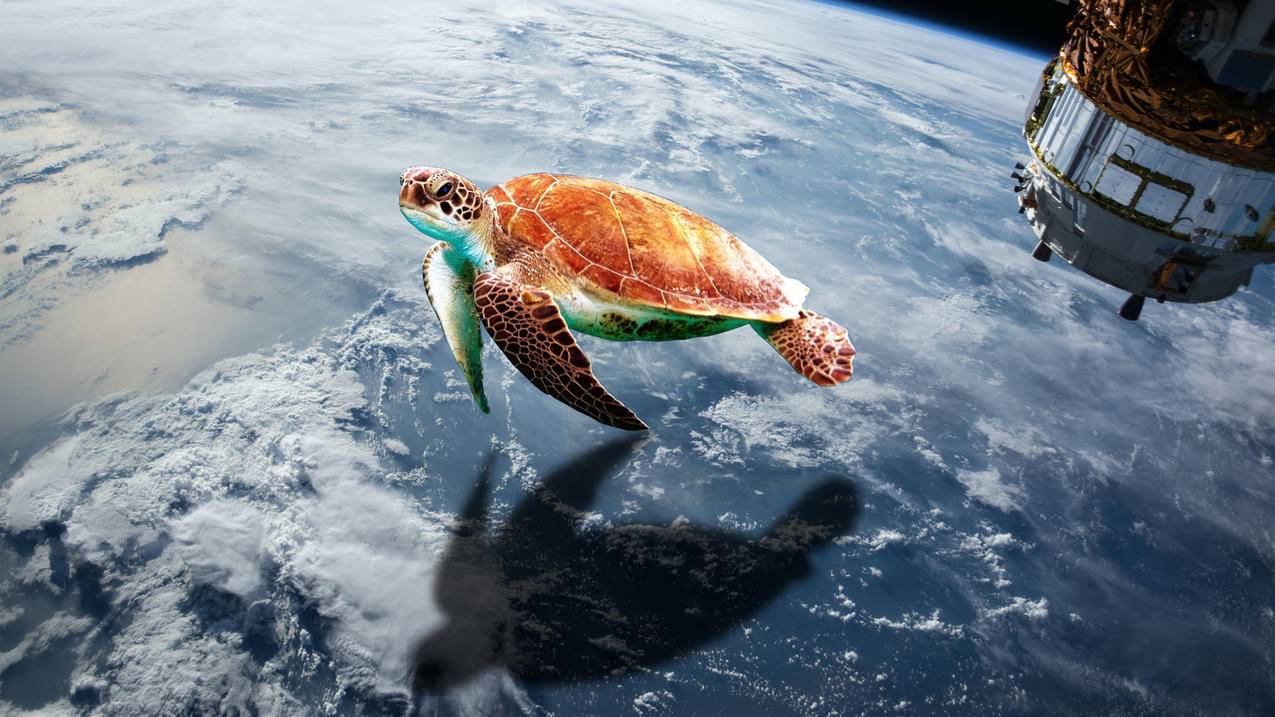 宇宙 乌龟 星球 航天 4K高清 动漫风景 壁纸