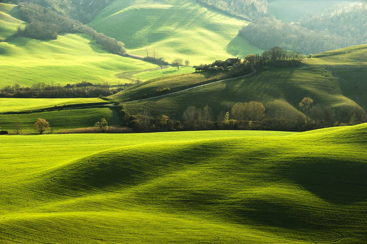 农场 意大利 托斯卡纳区 绿色领域 草地 爬坡道 田园 树 风景 4k高清壁纸