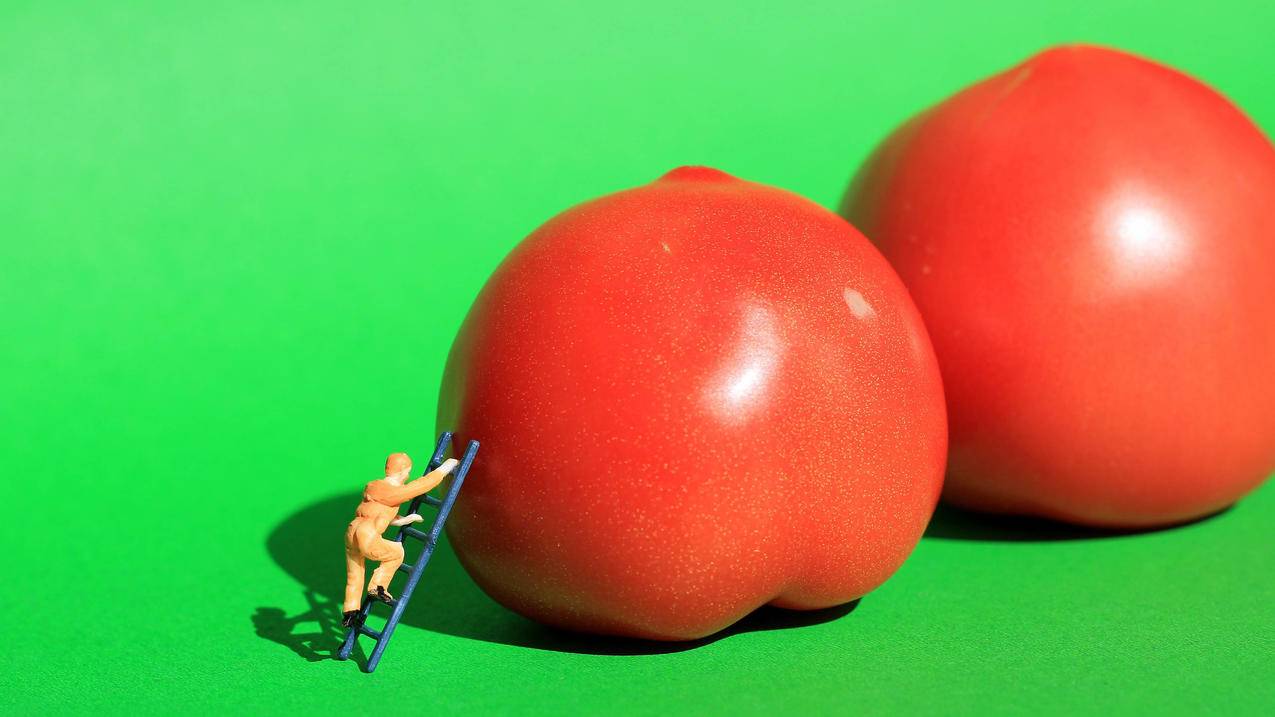 两颗西红柿玩偶5k壁纸