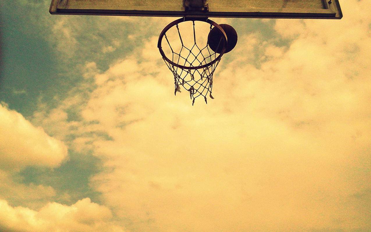 小清新静物写真篮球框高清壁纸