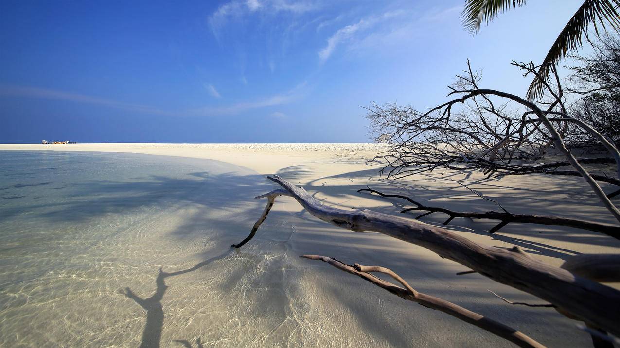 艾布度岛沙滩 4k风景高清壁纸