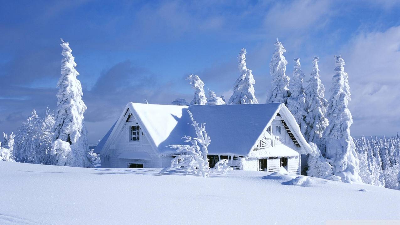 自然风光风景冰天雪地雪冬天冷寒冷高清壁纸