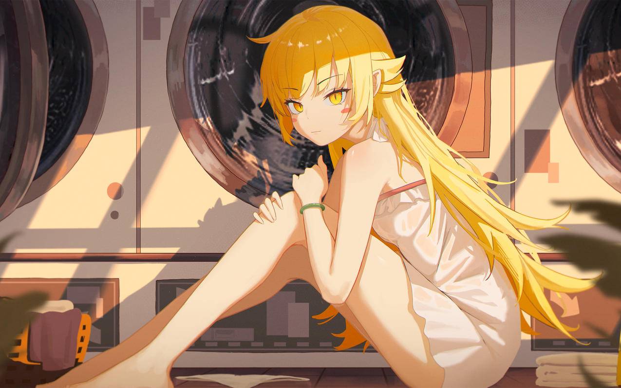 忍野忍2560x1600高清壁纸