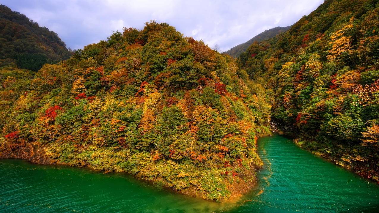 风景秋意正浓森林高清壁纸