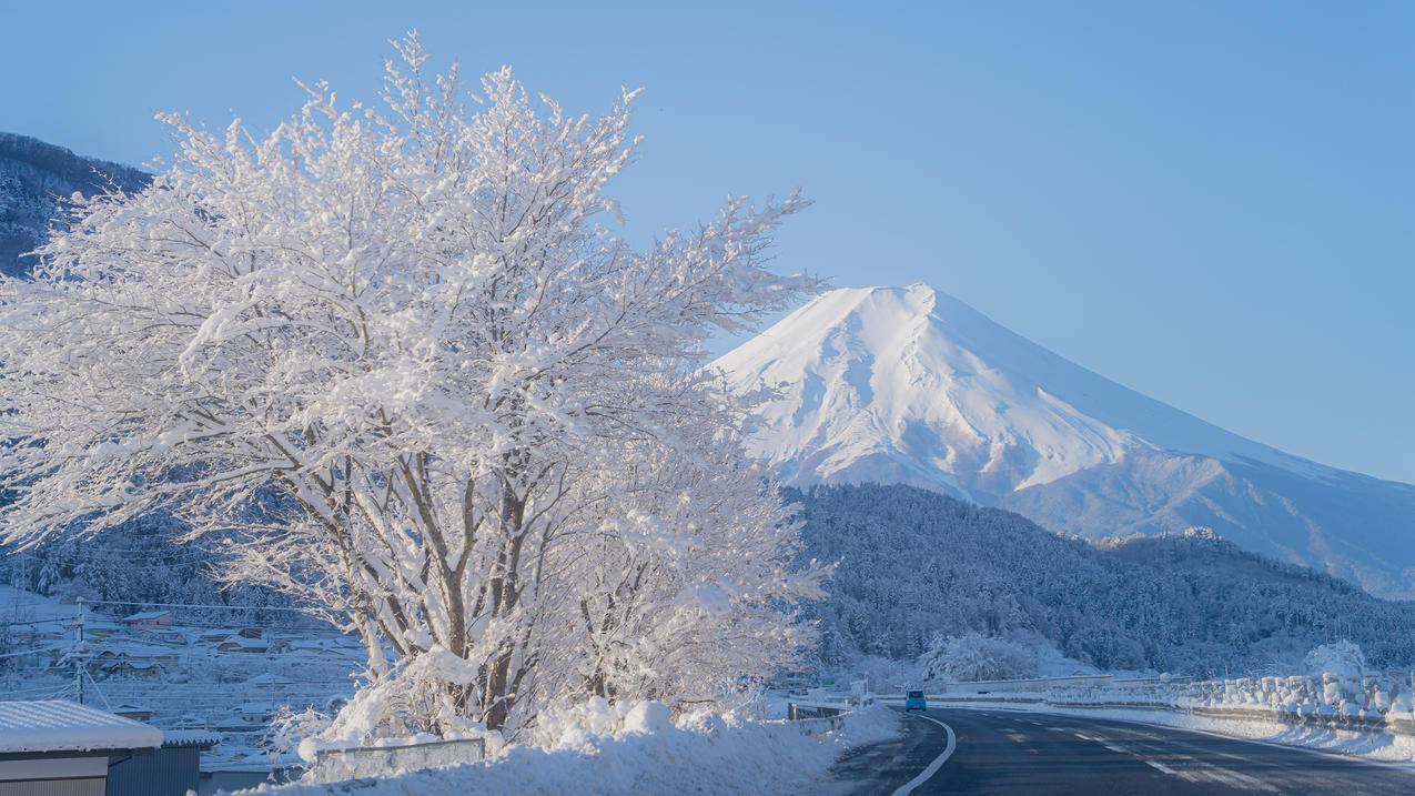 雪山 樱花 道路 风景 4k电脑壁纸