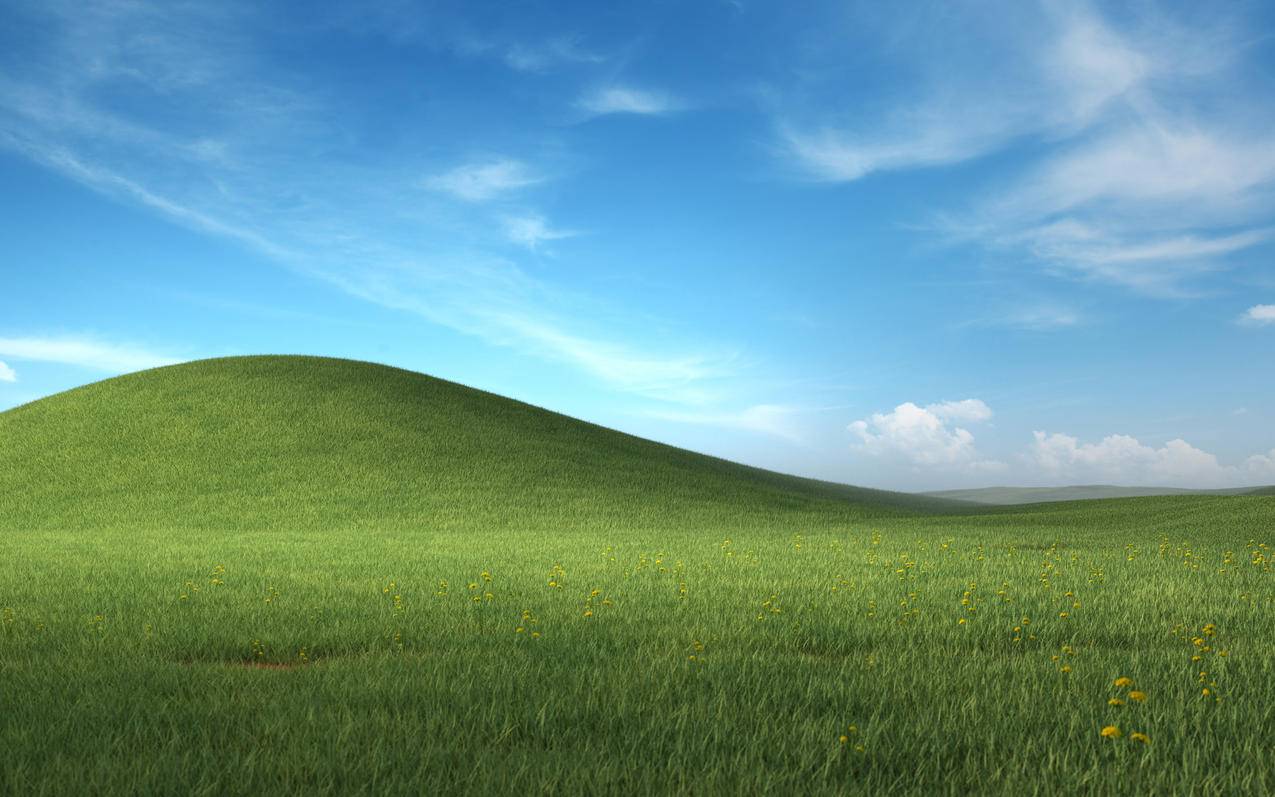 Windows XP Bliss 官方重制版2560x1600高清壁纸