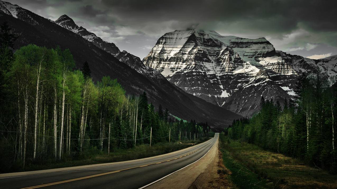 加拿大落基山脉最高的山峰罗布森山风景4k壁纸