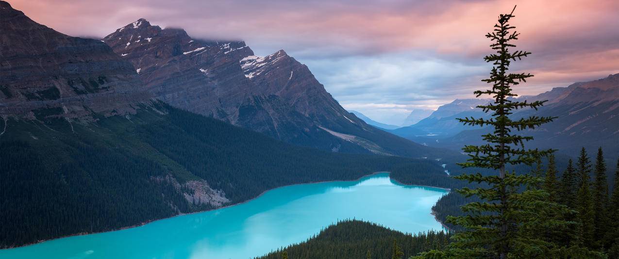加拿大佩投湖风景带鱼屏壁纸