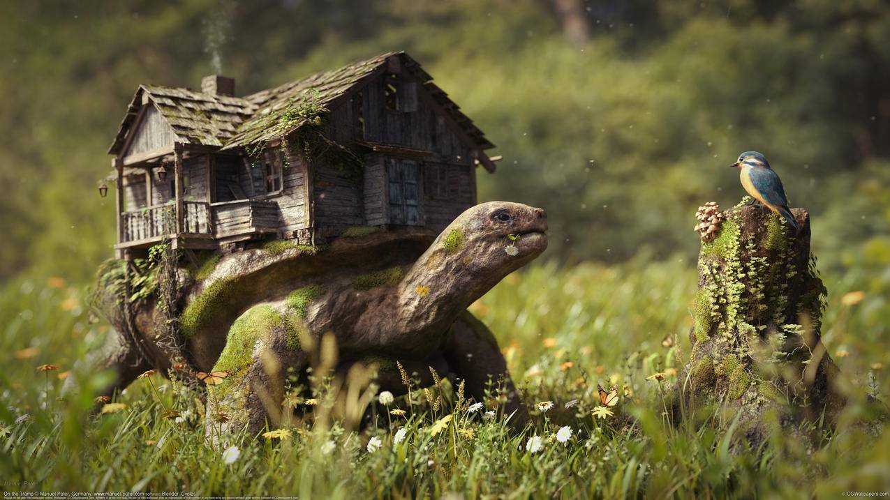 乌龟背上的房子 树桩上的鸟 草地 花 4K动物壁纸