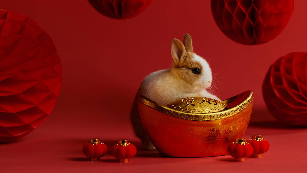 春节 小兔子 元宝 灯笼 红色喜庆 过年 4k 壁纸