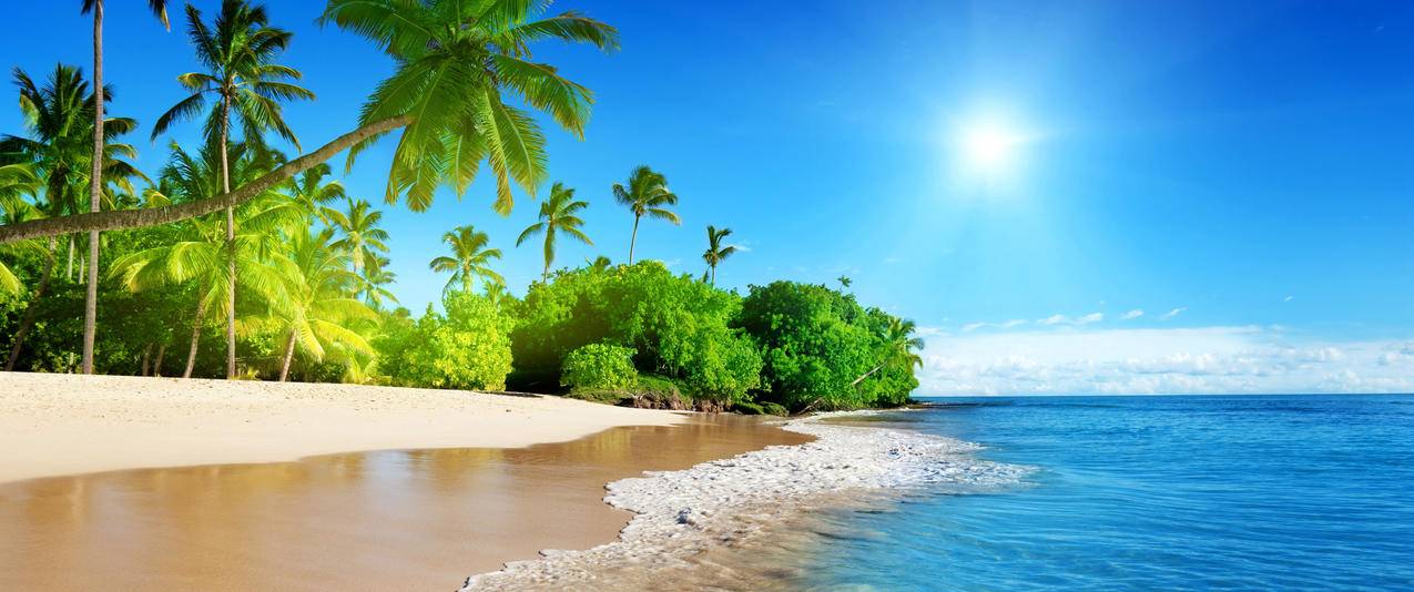 夏天海洋太阳天空棕榈海岸海滩大自然风景3440x1440带鱼屏壁纸