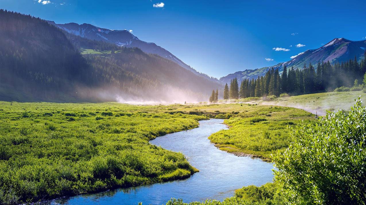 风景自然风光溪流草地森林科罗拉多州高清壁纸