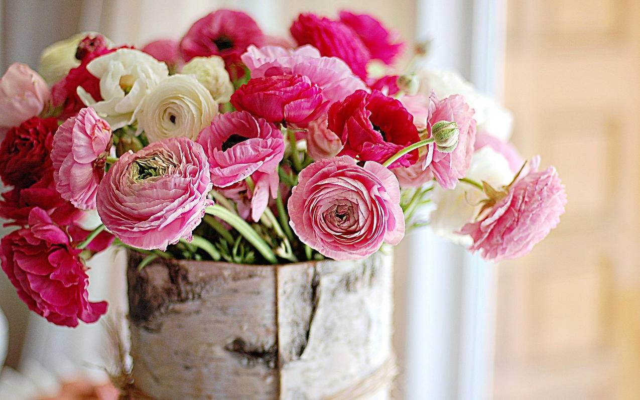 小清新静物写真花高清壁纸