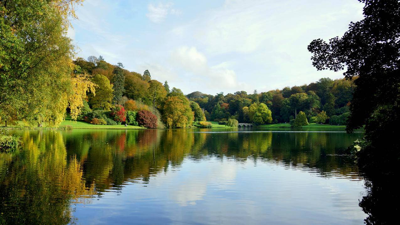 秋天公园树木池塘桥美丽的湖水风景4k壁纸