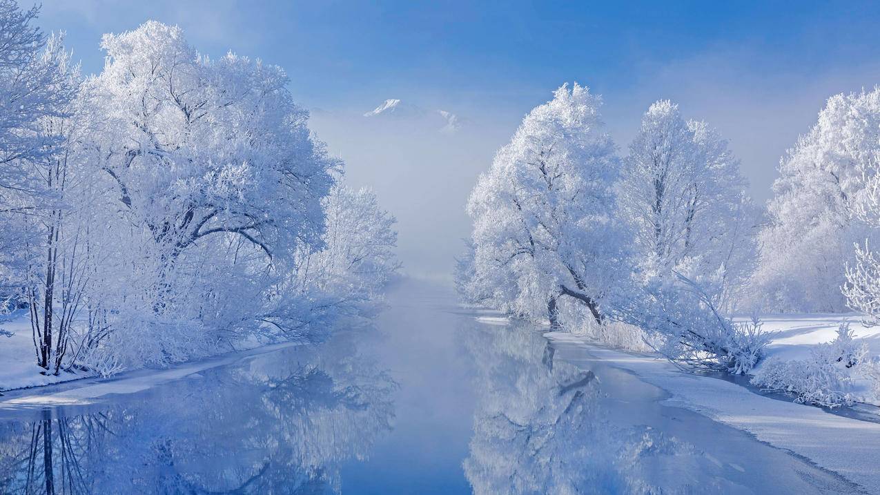 冬季 雪山 树 河水倒影 银装素裹4k风景壁纸