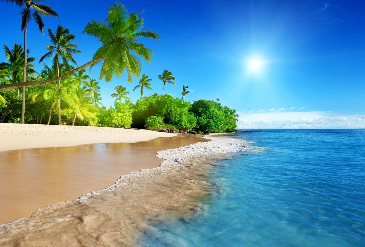 蔚蓝的大海 阳光 棕榈树 沙滩海岸 海洋天空 5K风景高清壁纸
