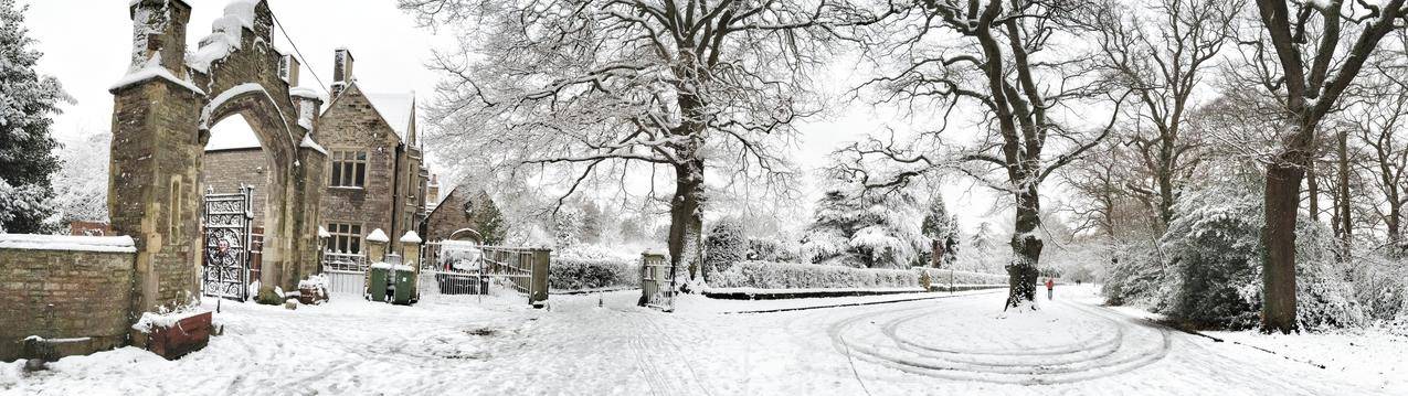 雪宽屏壁纸