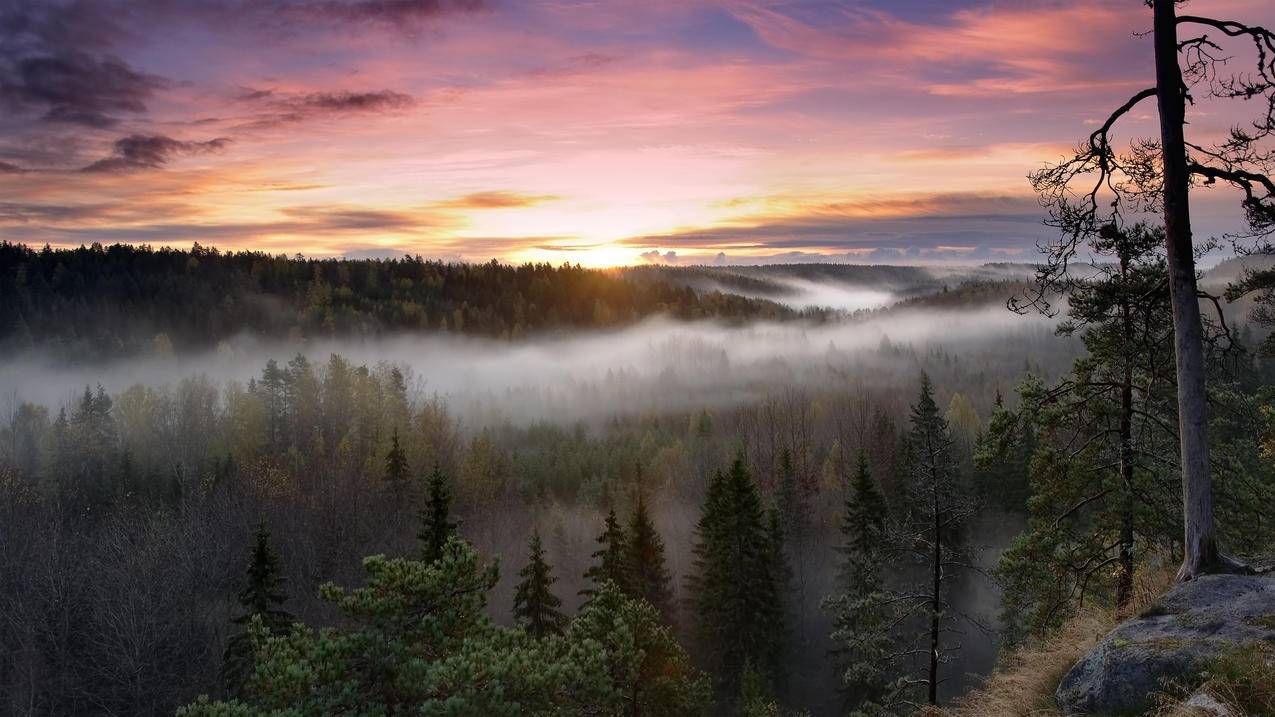 芬兰诺克斯 国家公园 日出风景 4k高清壁纸