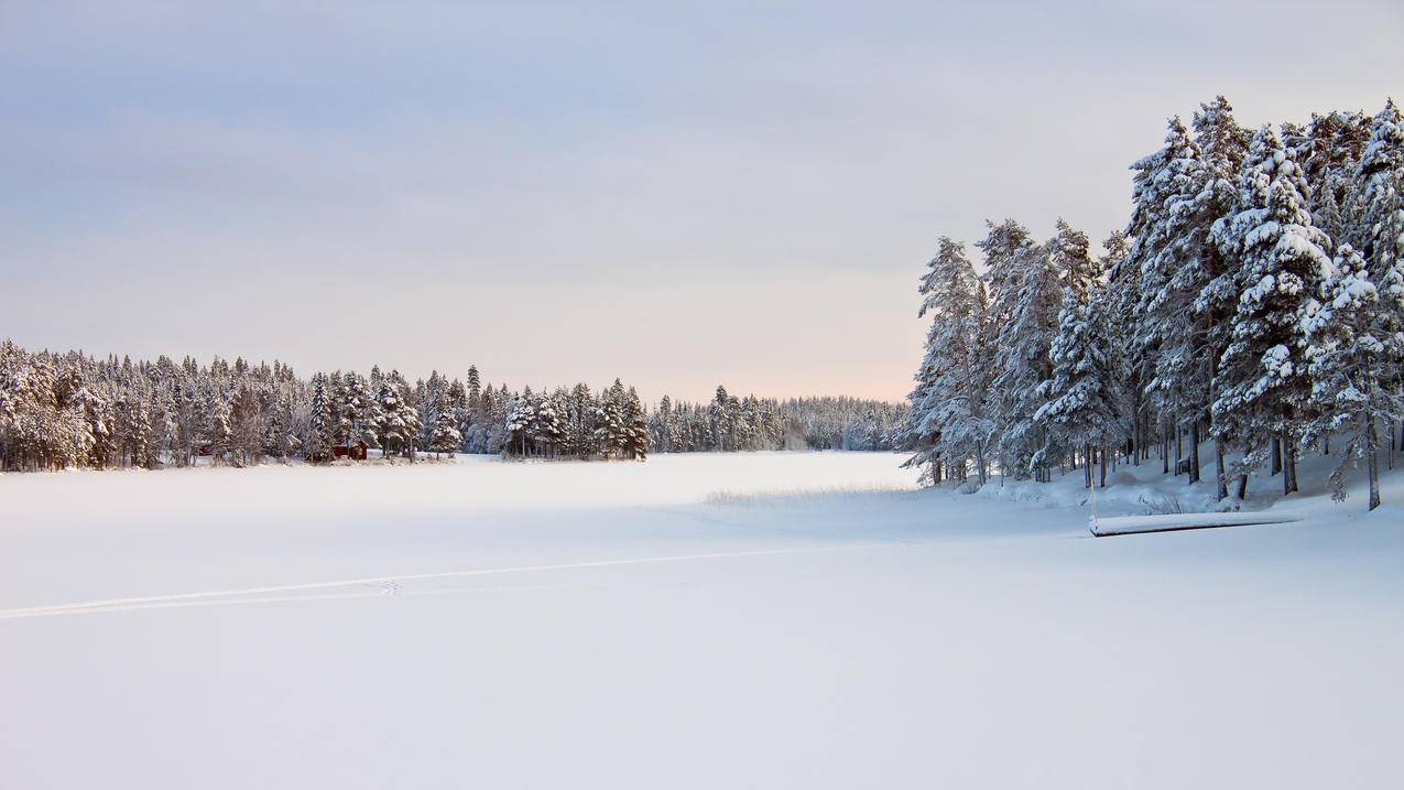 瑞典雪景风景4k壁纸