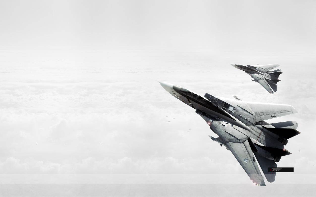 F14雄猫战斗机高清壁纸