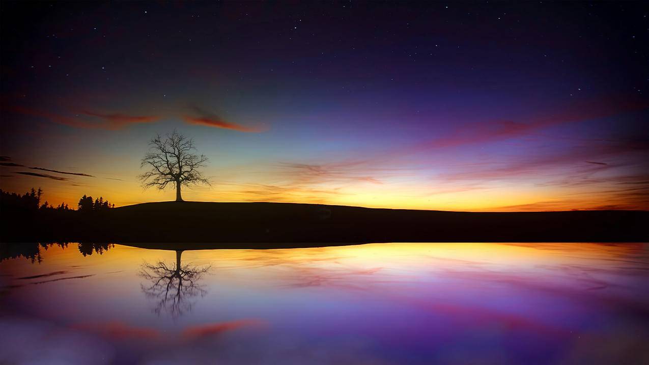 树 湖 黄昏 日落 秋季 云 傍晚的天空 4k风景高清壁纸