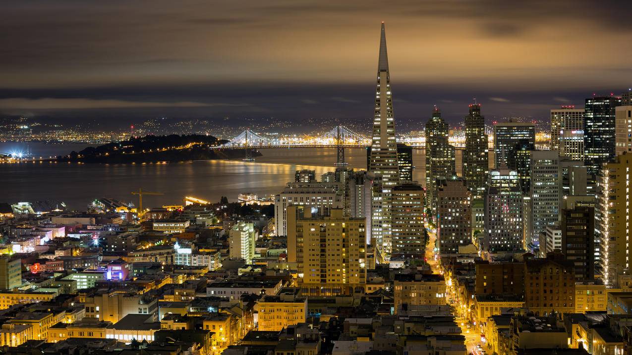 SF夜间天际线全景美丽的城市夜景4k壁纸