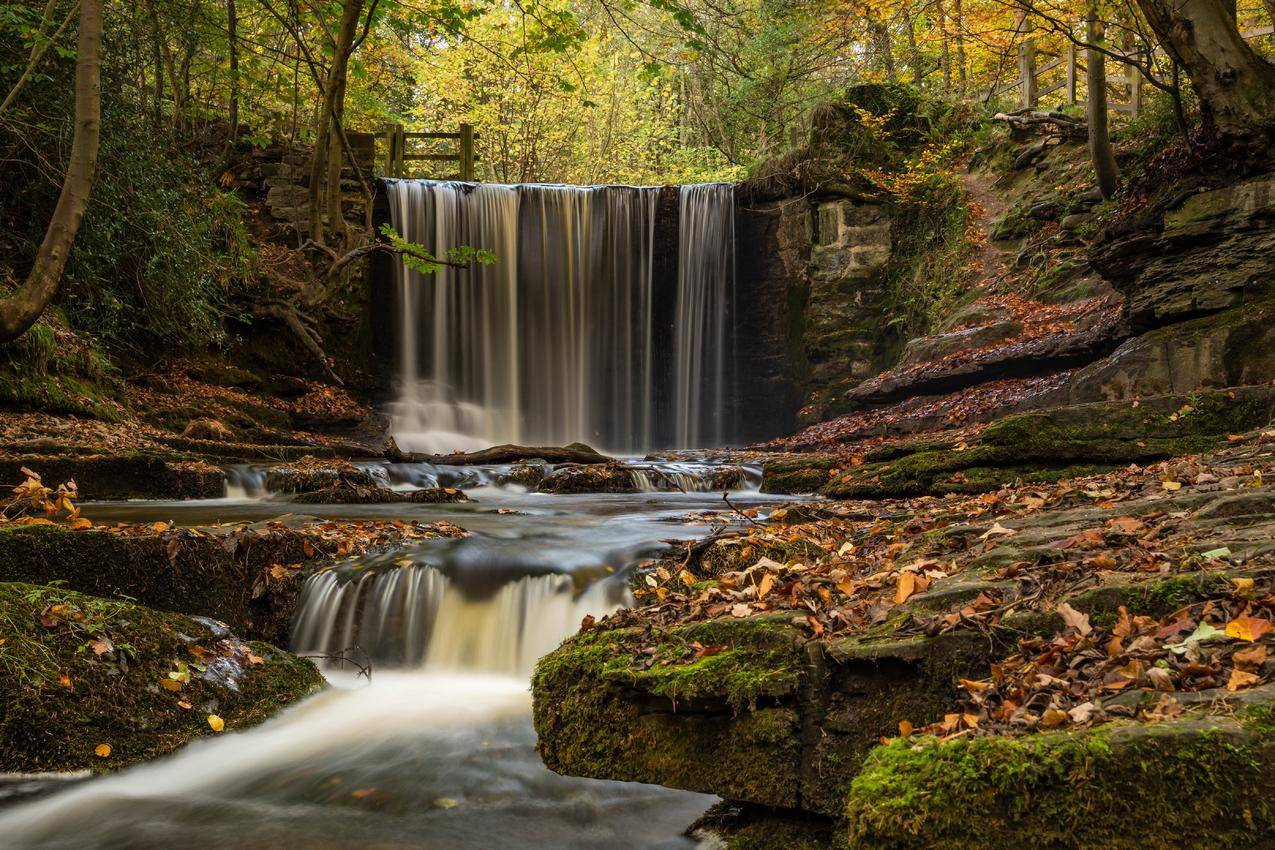 英格兰 威尔士 秋天 森林叶子 瀑布风景 5K高清壁纸