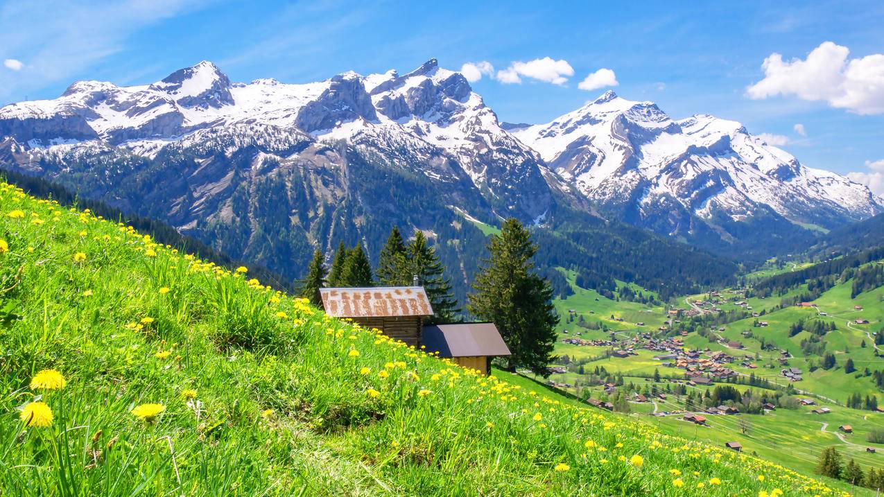 伯尔尼高地 瑞士 山 鲜花 风景 4k电脑壁纸
