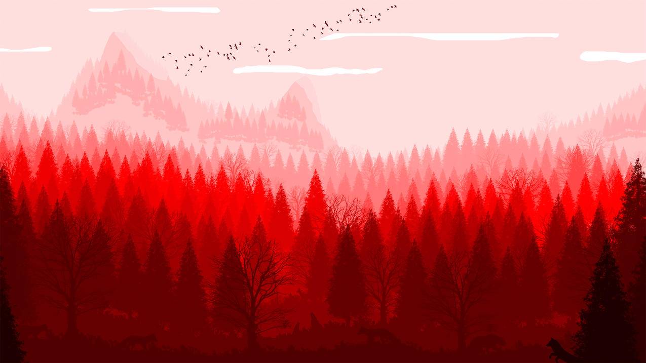 红色的自然 风景 4k高清壁纸